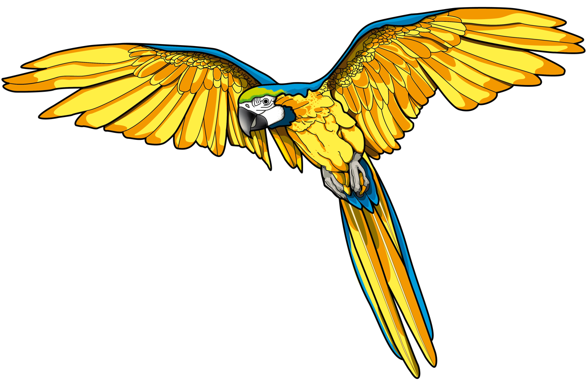 Pirate Haircut Papagei Maskottchen