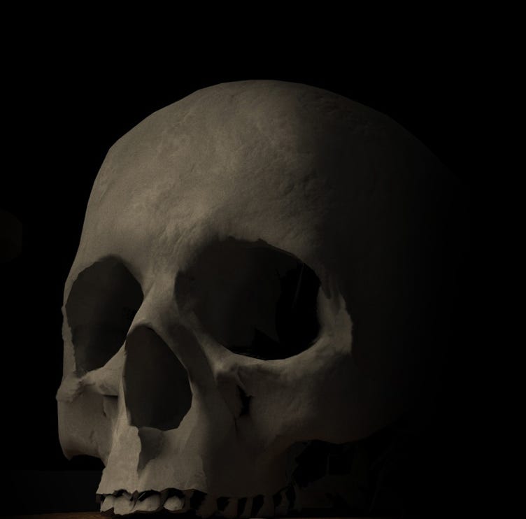 Pirate Haircut Friseur M&uuml;nchen